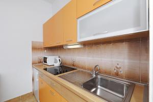 uma cozinha com um lavatório de aço inoxidável e armários de madeira em Apartments Vedrana em Biograd na Moru