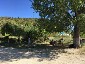 a person sitting at a picnic table under a tree at Albturist Ecocamping Përmet & Outdoor Sports Center in Përmet