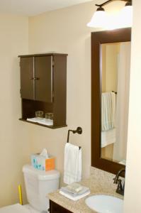 Un baño con inodoro, lavabo y espejo. en Blue Bear Den 3BR 2BA DTC Private Apt Hot Tub, en Denver 43 fotos más