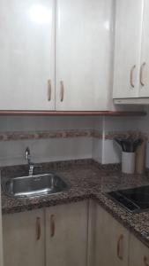 コルドバにあるPATIO POMPEYOSの- シンクと白いキャビネット付きのキッチンカウンター