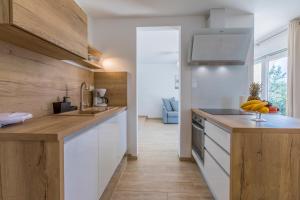 Kuchyň nebo kuchyňský kout v ubytování Palace Paulina Luxury Residence