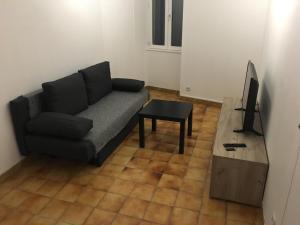 een woonkamer met een bank en een televisie bij Charmant T2 RDC dans résidence avec parc arboré in Saint-Pierre-le-Moûtier