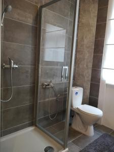 a bathroom with a shower and a toilet at Apartment Caracalla in Baden-Baden