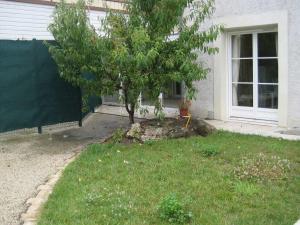 a tree in the grass in front of a house at Les Agapanthes La Riche in La Riche