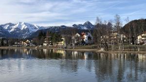 Gallery image of Apartment Sophia in Seefeld in Tirol