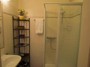 uma casa de banho com um chuveiro e uma cabina de duche em vidro. em Apartment Sophia em Seefeld no Tirol