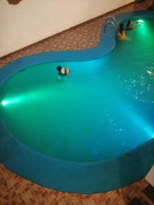 a swimming pool with people in the water at CONDOMINIO SÁBALO VISTA in Mazatlán +23 photos