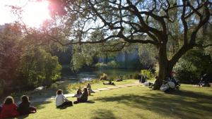 gente sentada en el césped bajo un árbol en un parque en QUAD 2, en Lisboa