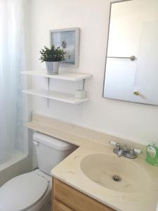 a bathroom with a sink and a toilet and a mirror at Pasadena single house in Pasadena