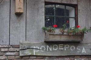 een raam met bloemen in een raamkozijn op een bakstenen gebouw bij B&B Onze Deel in Hijken