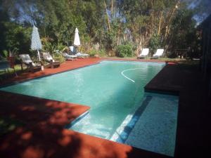 una piscina en un patio con sillas y sombrillas en Gloria's Bed and Breakfast en Livingstone