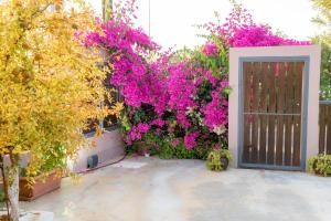 A garden outside Luxury Suites in Stavromenos