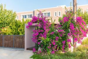 A garden outside Luxury Suites in Stavromenos