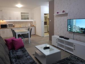 - un salon avec un canapé, une télévision et une table dans l'établissement Apartment GEA 18, à Novi Sad