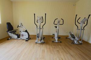 Posilňovňa alebo fitness centrum v ubytovaní Millennium Health Resort & Spa