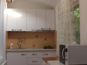 クルジュ・ナポカにあるGreen House Apartmentのキッチン(白いキャビネット、電子レンジ付)