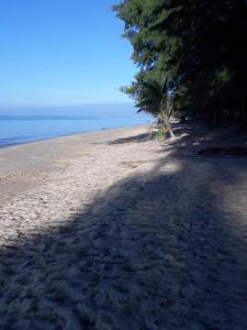 a shadow of a tree on a sandy beach at Amy's beach apartments in Rayong