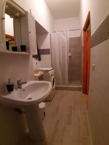 y baño con lavabo, ducha y aseo. en Casa Vacanza Il Leonpardo, en Tuscania