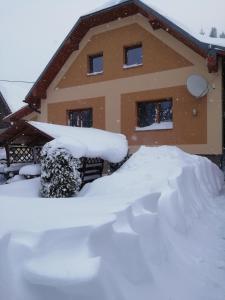Vilka Stefi during the winter