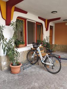 Jazda na bicykli v okolí ubytovania Danubia Apartman
