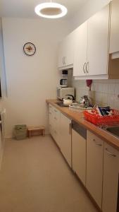 Kuchnia lub aneks kuchenny w obiekcie Wohlfühl - Appartement Fewo Pichlarn Irdning Ferienwohnung