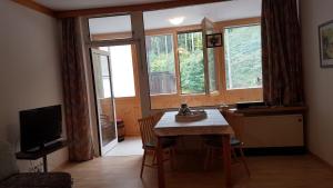 Telewizja i/lub zestaw kina domowego w obiekcie Wohlfühl - Appartement Fewo Pichlarn Irdning Ferienwohnung