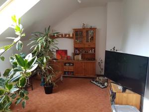 sala de estar con plantas y TV de pantalla grande en Ferienwohnung Blütenstadt Werder-Havel, en Werder