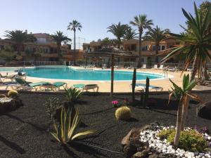 The swimming pool at or close to LasVistasApartment