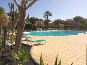 The swimming pool at or close to LasVistasApartment