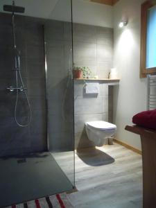 a bathroom with a toilet and a glass shower at La Buissonnière in Le Noyer