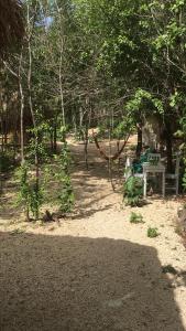 Foto sihtkohas Tulum asuva majutusasutuse Aldea Yuyu galeriist