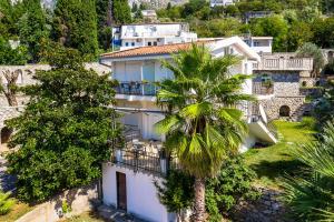 an aerial view of a house with a palm tree at Zelen LUX in Sutomore