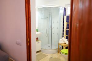 a bathroom with a shower and a toilet at June Studio in Braşov +16 photos