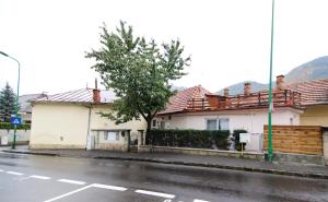 a white house with a tree in front of a street at June Studio in Braşov