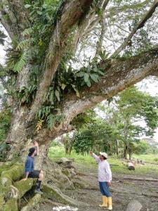 dos personas están de pie junto a un árbol en Hospedaje y tours Reina Arriera amazonas colombia, en Macedonia