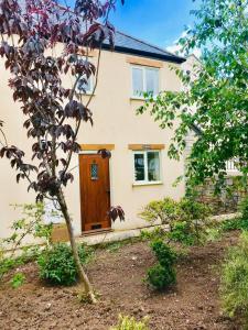 Κήπος έξω από το Watchet Cottage