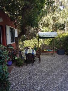 une table et des chaises assises dans une cour à côté d'un arbre dans l'établissement Location Vacances Casablanca Tamaris, à Casablanca