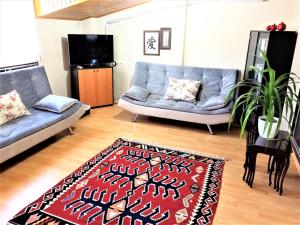 - un salon avec un canapé et un tapis dans l'établissement Comfy roof with terrace - 4 TH FLOOR WITHOUT LIFT-1 Air Conditioner, à Denizli