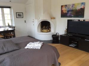 a living room with a bed and a fireplace at Langø Overnatning in Langø