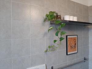 Koupelna v ubytování B&B Balon