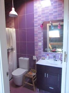 a bathroom with a toilet and a sink and a mirror at LA LOBERA (VALLE DEL TIETAR) in La Iglesuela