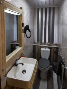 ein Badezimmer mit einem Waschbecken, einem WC und einem Spiegel in der Unterkunft Somerset House Apartments in Blackpool