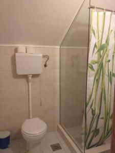 Koupelna v ubytování Lodging Vidmar + 37 fotografií