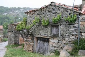 an old stone building with two doors and vines at Hotel Rural La Enoteca del Marques in Fermoselle