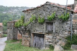 フェルモセリェにあるHotel Rural La Enoteca del Marquesのギャラリーの写真