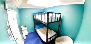 A bunk bed or bunk beds in a room at Rotorua Downtown Backpackers