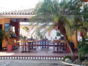 un patio con mesas, sillas y una palmera en Hotel & Suites Coral , en Puerto Vallarta