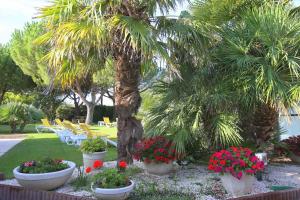 a garden with palm trees and flowers in pots at Locatlantique in Aytré