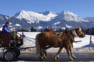 Haflinger Hof v zimě + 5 fotografií