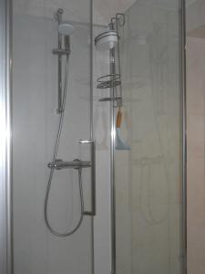 a shower with a shower head and a glass door at De Stormvogel in Baaiduinen